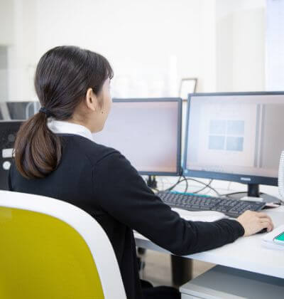 Professional Infrastructure Inspector